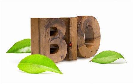 renewable energy graphic symbols - wooden bio word green leaves and ladybird over white background Stock Photo - Budget Royalty-Free & Subscription, Code: 400-05676345