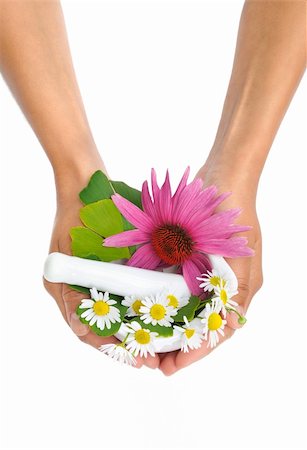 Young  woman holding mortar with herbs - Echinacea, ginkgo, chamomile Stock Photo - Budget Royalty-Free & Subscription, Code: 400-05676442