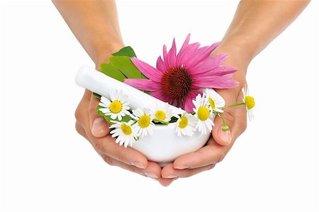 Young  woman holding mortar with herbs - Echinacea, ginkgo, chamomile Stock Photo - Budget Royalty-Free & Subscription, Code: 400-05676443