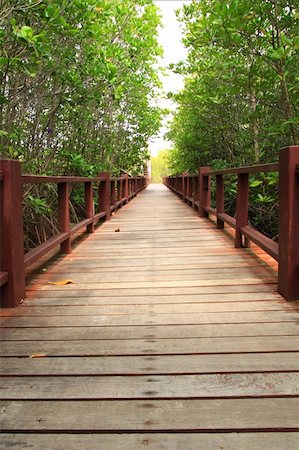 Wood path through tropical forest Photographie de stock - Aubaine LD & Abonnement, Code: 400-05676561