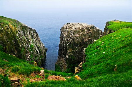 Tourists at cliffs of Cape St. Mary's Ecological Bird Sanctuary in Newfoundland Stockbilder - Microstock & Abonnement, Bildnummer: 400-05677099