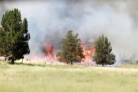 Lightning Strike Fire on Farmland in Central Oregon Photographie de stock - Aubaine LD & Abonnement, Code: 400-05678547