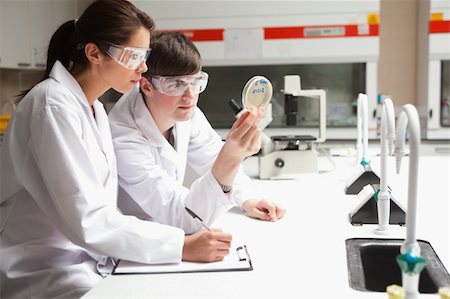 simsearch:400-06078063,k - Concentrate students in science looking at a Petri dish in a laboratory Stock Photo - Budget Royalty-Free & Subscription, Code: 400-05670007