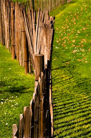 photo picket garden - A wood fence in a garden Photographie de stock - Aubaine LD & Abonnement, Code: 400-05670081