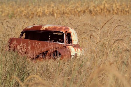 salvage yard classics cars - old car abandoned in grass field fall Stock Photo - Budget Royalty-Free & Subscription, Code: 400-05670236