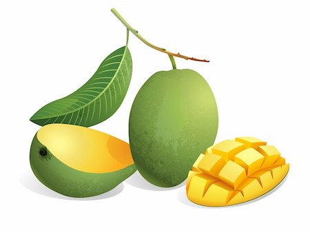 Realistic vector illustration of mangoes and a sliced mango. Stock Photo - Budget Royalty-Free & Subscription, Code: 400-05670601