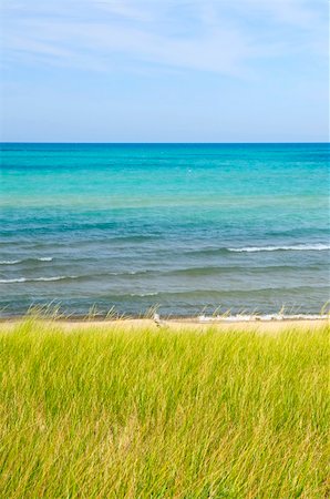 Grass on sand dunes at beach. Pinery provincial park, Ontario Canada Photographie de stock - Aubaine LD & Abonnement, Code: 400-05670743