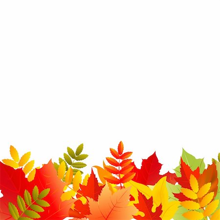 simsearch:400-06391236,k - Autumn Background With Leafs, Vector Illustration Fotografie stock - Microstock e Abbonamento, Codice: 400-05670845