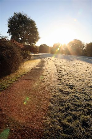 Cold and frosty morning in Fall Stockbilder - Microstock & Abonnement, Bildnummer: 400-05671103