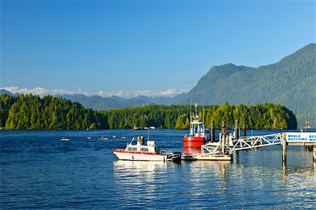 Boats at dock in Tofino on Pacific coast of British Columbia, Canada Foto de stock - Super Valor sin royalties y Suscripción, Código: 400-05671224