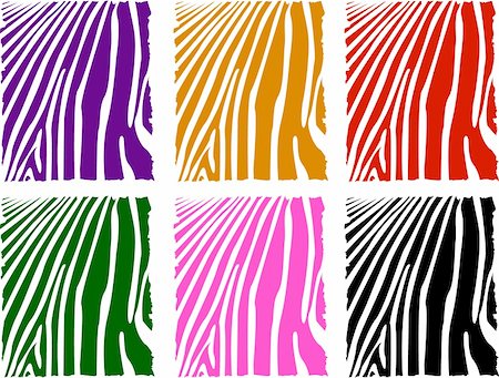 vector color zebra skin set Foto de stock - Super Valor sin royalties y Suscripción, Código: 400-05671967