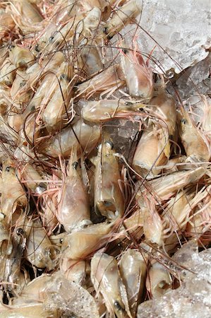 shrimp fishing - A pile of shrimp heads on ice. Stock Photo - Budget Royalty-Free & Subscription, Code: 400-05672388