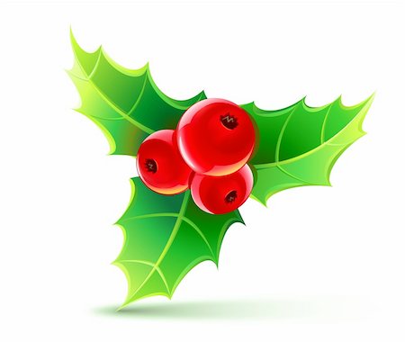 fruits tree cartoon images - Vector illustration of holly leaves and berries Stock Photo - Budget Royalty-Free & Subscription, Code: 400-05672815