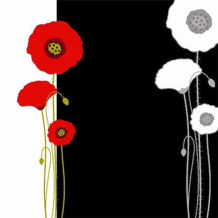 Abstract red poppy on black and white background Stock Photo - Budget Royalty-Free & Subscription, Code: 400-05672844