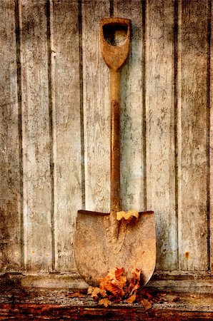 dig up - old fashion spade with dry leaves against an old wooden wall. Photographie de stock - Aubaine LD & Abonnement, Code: 400-05672968