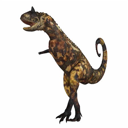 simsearch:400-04236748,k - The Carnotaurus dinosaur was a large carnivore in the Cretaceous Period of Earths history. Its fossils have been found in South America. Its name means meat eating bull for the two horns on its head. Foto de stock - Super Valor sin royalties y Suscripción, Código: 400-05672972