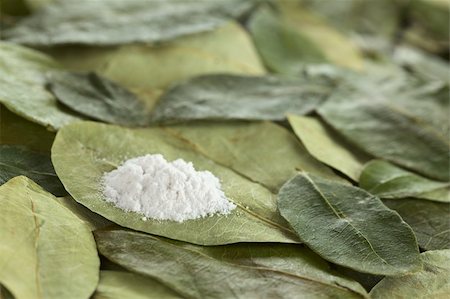 Cocaine powder (substituted by flour) on dried coca leaves (Selective Focus, Focus on the front of the powder pile) Photographie de stock - Aubaine LD & Abonnement, Code: 400-05673003