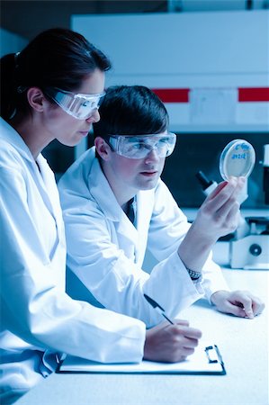 Portrait of scientists looking at Petri dish in a laboratory Stock Photo - Budget Royalty-Free & Subscription, Code: 400-05684509