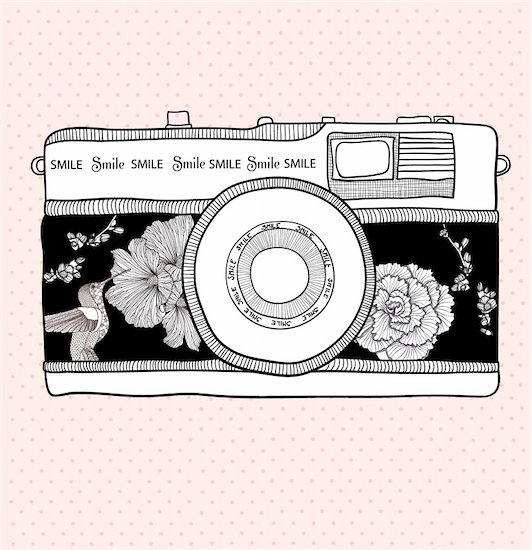 Background with retro camera. Vector illustration. Photo camera with flowers and birds. Camera with floral pattern. Stock Photo - Royalty-Free, Artist: lapesnape, Image code: 400-05685268