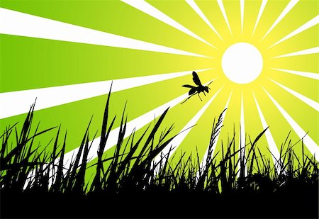 vector wasp flying over grass, Adobe Illustrator 8 format Foto de stock - Royalty-Free Super Valor e Assinatura, Número: 400-05685604
