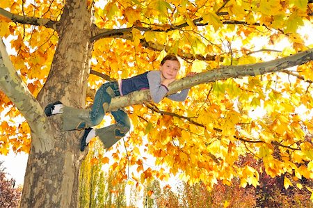 girl climbed on tree Stock Photo - Budget Royalty-Free & Subscription, Code: 400-05686436