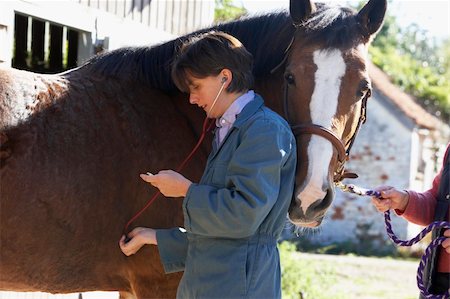 simsearch:400-05686822,k - Vet Examining Horse With Stethescope Photographie de stock - Aubaine LD & Abonnement, Code: 400-05686813