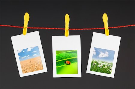 Nature photos in picture frames Stock Photo - Budget Royalty-Free & Subscription, Code: 400-05687559