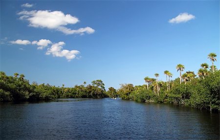 subtropical - Loxahatchee River in Jonathan Dickinson State Park, Jupiter, Florida Stock Photo - Budget Royalty-Free & Subscription, Code: 400-05687801