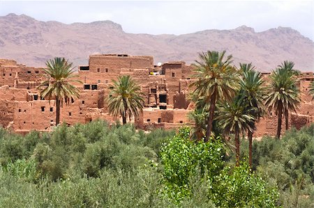 Adobe buildings in the biggest oasis of Morocco Foto de stock - Super Valor sin royalties y Suscripción, Código: 400-05687981