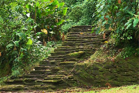 simsearch:400-04818378,k - Old stone stairs in Ciudad Perdida (Lost City), built by the people of Tayrona. This archeological site is close to Santa Marta in the Sierra Nevada, Northern Colombia. Foto de stock - Super Valor sin royalties y Suscripción, Código: 400-05689353