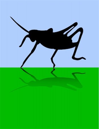 paunovic (artist) - Grasshopper - vector Stockbilder - Microstock & Abonnement, Bildnummer: 400-05689360