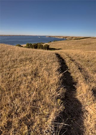 saskatchewan river - lake diefenbaker Saskatchewan Canada prairie grass and view Foto de stock - Royalty-Free Super Valor e Assinatura, Número: 400-05680037