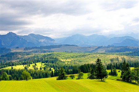 Green valley in the high mountains Stock Photo - Budget Royalty-Free & Subscription, Code: 400-05680205