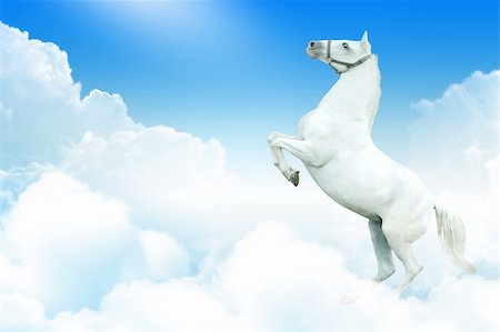 Photoof white horse rearing in the sky, surrounded by clouds Stock Photo - Budget Royalty-Free & Subscription, Code: 400-05680607