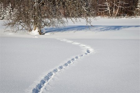 footprint winter landscape mountain - An image of a winter scenery with foot steps in the snow Photographie de stock - Aubaine LD & Abonnement, Code: 400-05680774