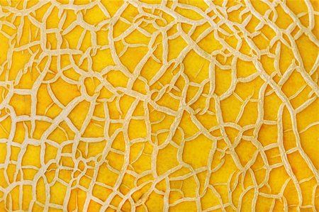 Closeup of yellow melon texture and detail of the skin Stock Photo - Budget Royalty-Free & Subscription, Code: 400-05680995