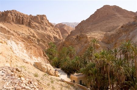 An oasis in the mountainous part of the Sahara desert - Tozeur. In the cleft of the mountain rising palm forest. Foto de stock - Super Valor sin royalties y Suscripción, Código: 400-05682234