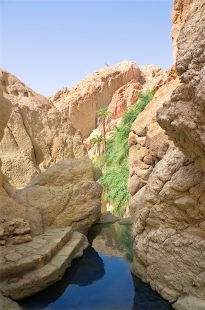 River between rocks in the oasis of Tozeur. Tunisia, Africa. Foto de stock - Super Valor sin royalties y Suscripción, Código: 400-05682233