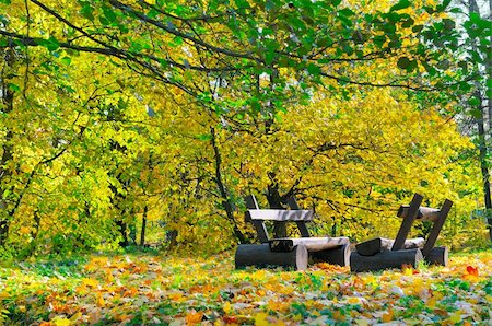 Autumn landscape. Russia. St. Petersburg, In central park Stockbilder - Microstock & Abonnement, Bildnummer: 400-05682241