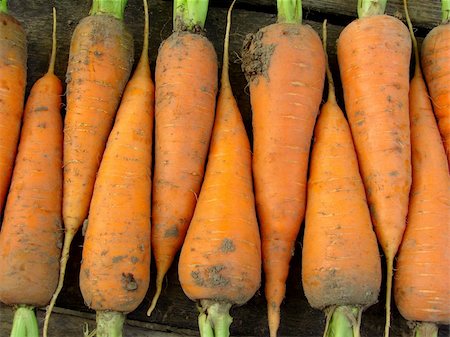 dleonis (artist) - some fresh cropped carrots as background Foto de stock - Royalty-Free Super Valor e Assinatura, Número: 400-05682367