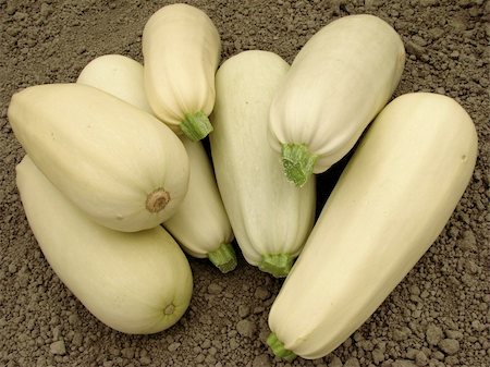 simsearch:400-05682396,k - some fresh marrows on the ground Stock Photo - Budget Royalty-Free & Subscription, Code: 400-05682384