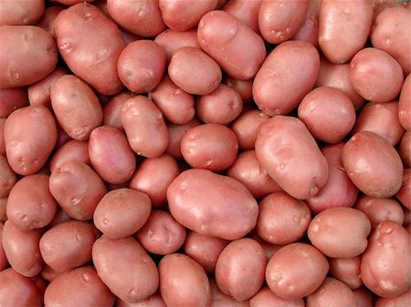 dig up - fresh harvested pink potato tubers Foto de stock - Super Valor sin royalties y Suscripción, Código: 400-05682391