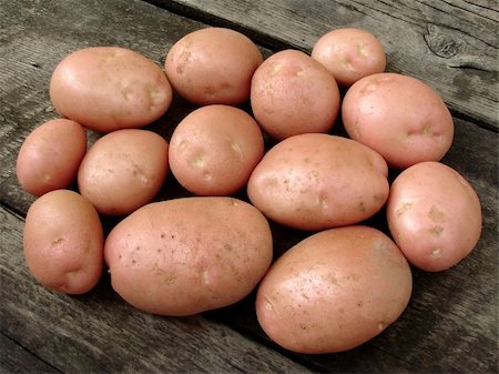 dig up - resh harvested pink potato tubers Photographie de stock - Aubaine LD & Abonnement, Code: 400-05682393
