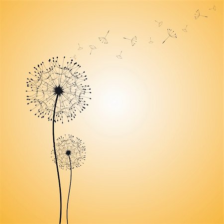 soft stem plants - Abstract dandelion in the wind wallpaper Stock Photo - Budget Royalty-Free & Subscription, Code: 400-05683222