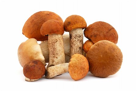 simsearch:400-07038465,k - Pile of mushrooms isolated on white background Photographie de stock - Aubaine LD & Abonnement, Code: 400-05683407
