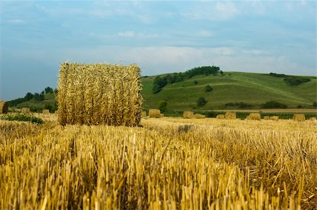 pergamepaper (artist) - circular straw bales Photographie de stock - Aubaine LD & Abonnement, Code: 400-05683867