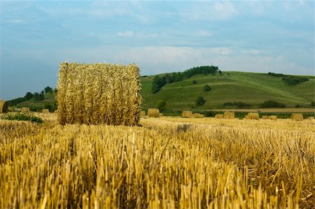 simsearch:400-06201047,k - circular straw bales Stock Photo - Budget Royalty-Free & Subscription, Code: 400-05683867