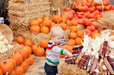 caucasian toddler choosing corn at the pumpkin patch Photographie de stock - Aubaine LD & Abonnement, Code: 400-05694101