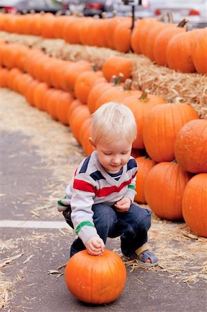 adorable caucasian toddler picking up a pumpkin Photographie de stock - Aubaine LD & Abonnement, Code: 400-05694103