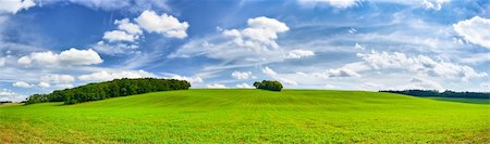 simsearch:400-07481137,k - panorama of green fields and beautiful blue sky Photographie de stock - Aubaine LD & Abonnement, Code: 400-05694147